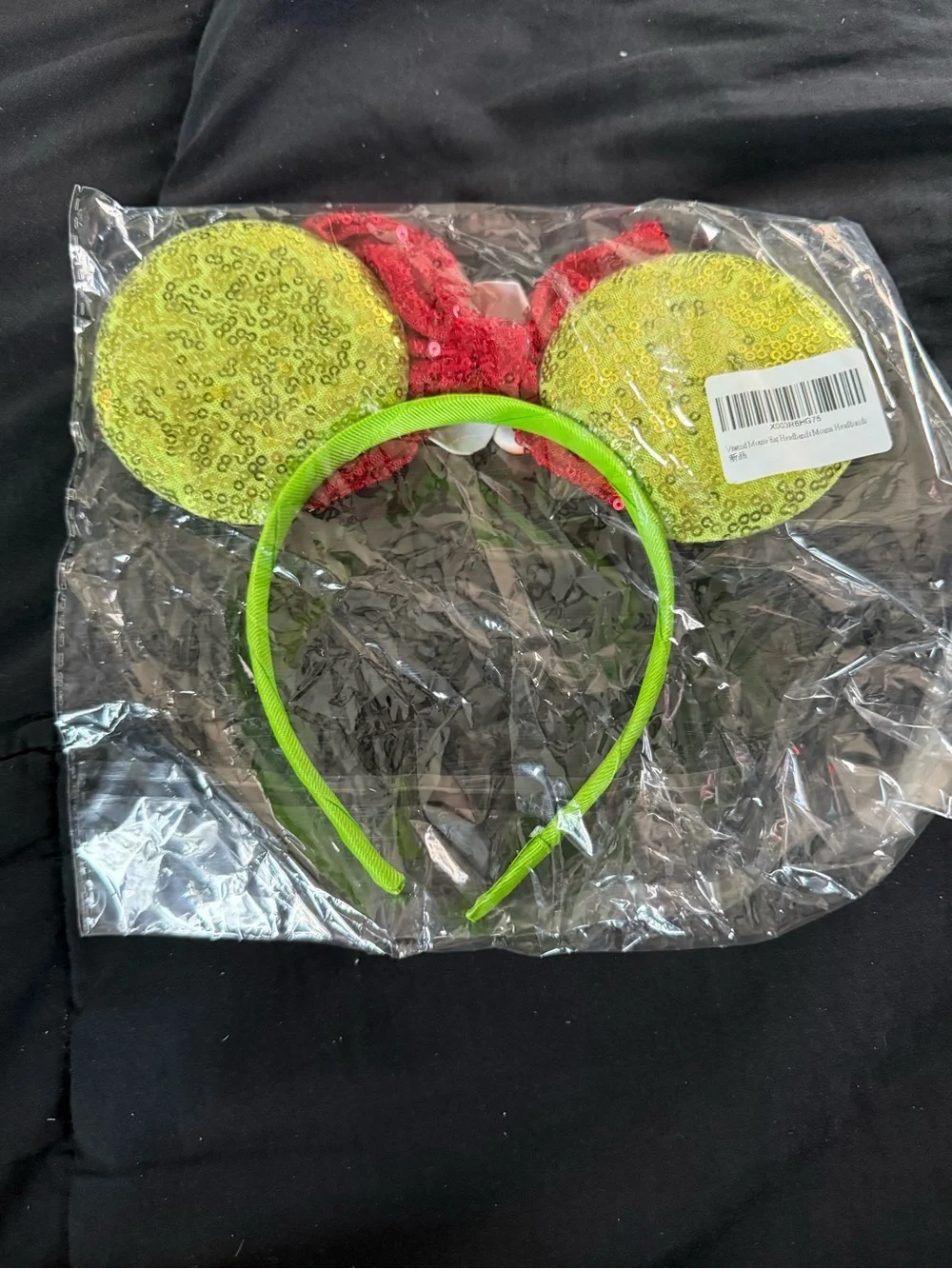 Moana Mickey Ears